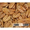 High Quality Raw Pecan Nuts For Sale