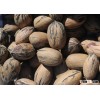 Pecan nuts