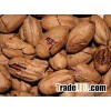 Pecan Nuts For Sale/ Pecan Nut In Shell