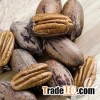 100% Premium Quality Pecan Nuts For Sale/ Pecan Nut In Shell / Pecan Nut Pieces