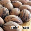 New Crop Pecan Nuts Available- 2016