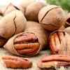 Chinese delicious Pecan nuts for wholesale