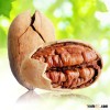 China Pecans compare to US Pecans