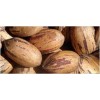 HIGH QUALITY PECAN NUTS FOR SALE