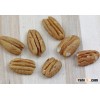 Pecan Nuts Pecan Tree Nuts For Sale