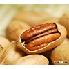 European standard Nutrition Pecan Nut