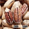 Pecan - Raw Pecan Nuts In Shell - Small and Bulk Orders - Contact Us for Free Samples
