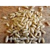 kernels certified organic pine nut kernels dried export pine nut Chinese healthcare dried pine nut k