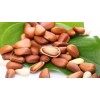 Favorable price of organic pine nut