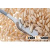 High quality Pine Nuts for sale