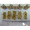 PINE NUTS