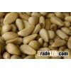 Pine nuts and other nuts at good prices