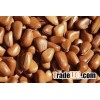 Raw Pine Nuts in Shell