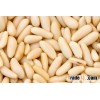 Dried Pine Nuts kernel