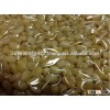 High Quality Pine Nut