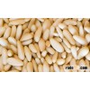 Pine nuts