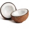Coconut cream powder for sale