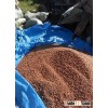 Pine nuts