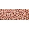 Pine Nuts and Pea Nuts