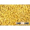 WholeSale Pine Nuts