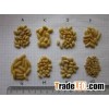 Pine Nuts, Organic Pine Nuts, Shelled Pine Nuts, Inshell Pine Nuts, Chilgoza