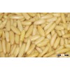 100% Nature Pine Nuts Wild Pine Nuts Organic Pine Nuts Kernels With Shells