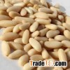 Yunnan Pine Nut Kernels