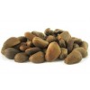 Raw Pine Nuts (In shell)
