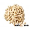 Pine Nuts