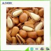 Chinese manufacturer selling pine nuts