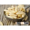 500pcs-550pcs -600pcs/100gr Pine Nut