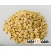 Huashan Pine Nut Kernels