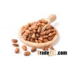 highbridge pine nuts