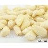 Pine nut, price of pine nuts