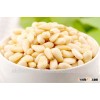 Raw and roasted Pine nuts