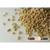 100% Nature Pine Nuts Wild Pine Nuts Organic Pine Nuts Kernels