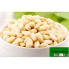 Golden Supplier of dried raw pine nut