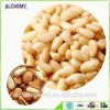 CHINESE PINUS KORAIENSIS KERNEL