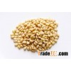 Wild Pine Nut Kernels Without Shell