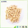 Pine nuts premium grade