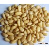 Quality Pine Nuts