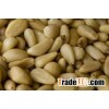 Pine Nuts, Cashew Nuts, Pistachio, Sweet Almond for sale