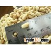 Favorable price of organic pine nut