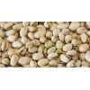 Pistachio