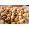 Pistachio with/without Shell , Pistachios Roasted/Salted