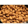 Quality Pistachio nuts