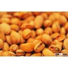 Grade A Pistachio Pistachio Nuts, Pistachio with and without Shell