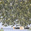 pumpkin seeds grown without shell