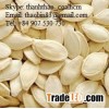Pumkin kernels