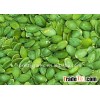 2012 crop snow White Pumpkin Seeds